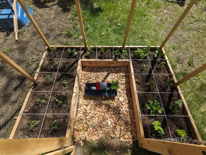 Planting day
